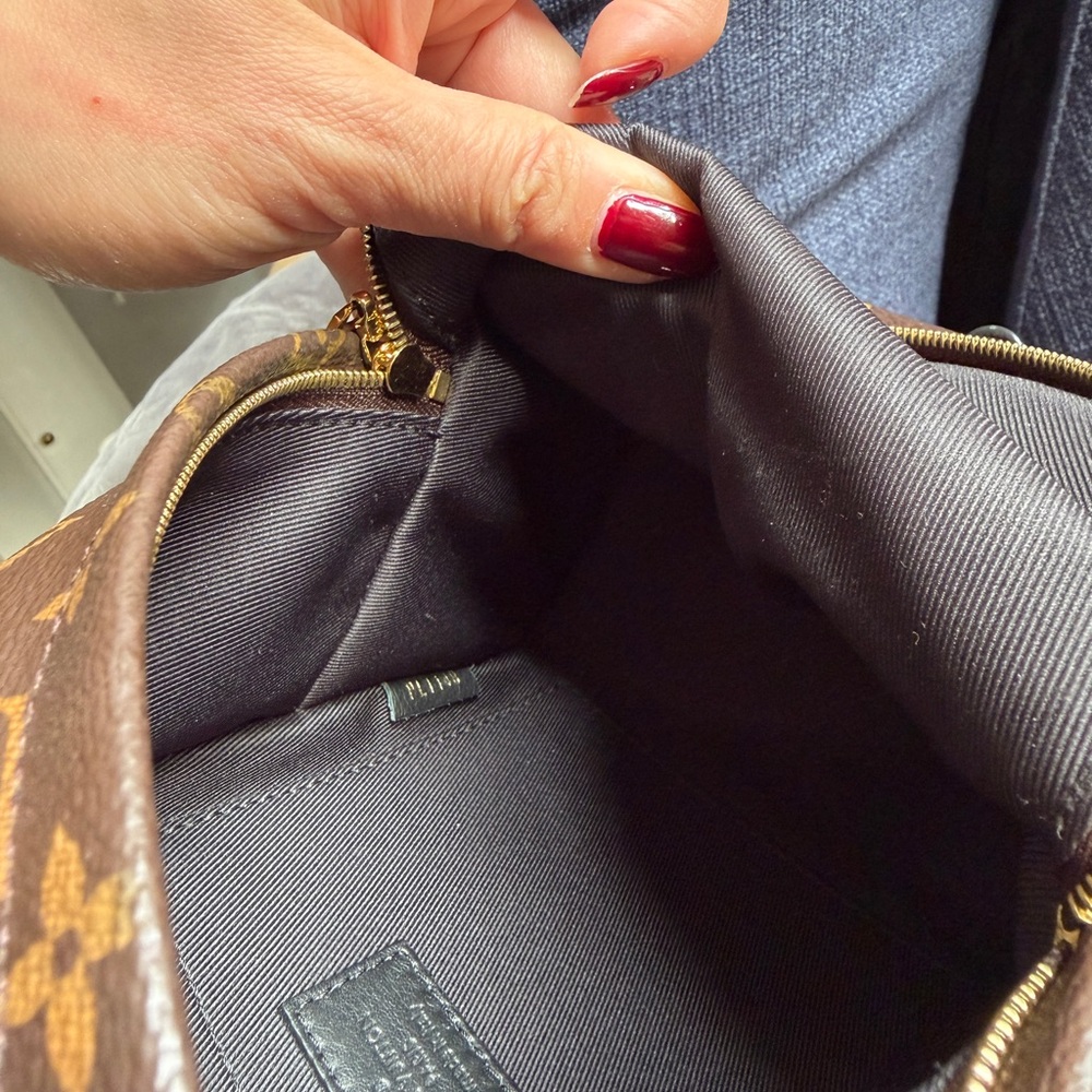 Louis Vuitton Monogram Mini Palm Spring Backpack - Picture 13 of 16